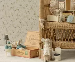 Little brother mouse in matchbox en internet