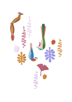 Paradise Nest - comprar en línea