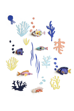 Fish Hobbyist