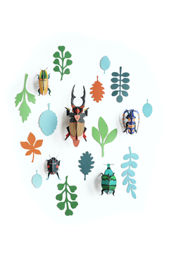 Beetle Antiquary
