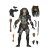 Neca - Ultimate Elder Predator en internet