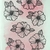 Kit de Cartões Decorativos - Flora Ateliê