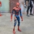 Spider Man Zombie/What if? (15cm)