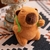 Llaveritos De Peluche Capibara/carpincho 10cm Con Accesorios en internet