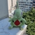 Peluche pokémon Larvitar en internet