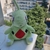 Peluche pokémon Larvitar - comprar online