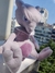 PELUCHE POKEMON MEWTWO - comprar online