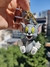 LLAVERITO DE GOMA DURA TOM (TOM AND JERRY) en internet