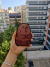 stickers Lenticulares 3D Osos Escandalosos (3 formas) - comprar online
