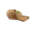 Pulsera de Peluche Capybara