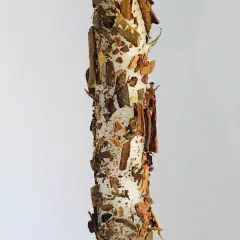 Vela Palito Imantada com Ervas - Canela na internet