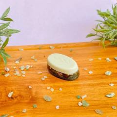 Orgonite - Orgo Save Plant - Fertilizante e Estabilizador Energético - Jardim Feliz