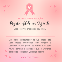 266 - Pirâmide Turmalina e Ametista - 4cm - comprar online