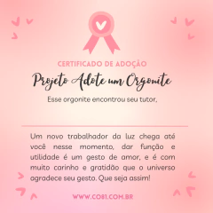 255 - Pirâmide Turmalina e Ametista - 4cm - comprar online