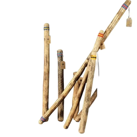 Pau de chuva de cacto em diferentes tamanhos, com cores e etiquetas de identificação.