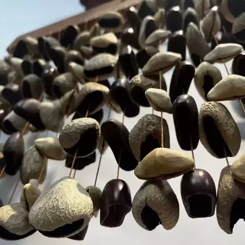 Caxixi de Sementes – Chocalho de Percussão - comprar online