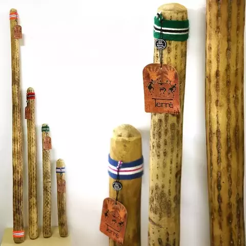 Pau de chuva de cactos com etiquetas, apresentando diferentes tamanhos e cores.