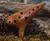 Ocarina em Bambu - 12 buracos - Ânima Sounds-  Instrumentos Musicais Intuitivos