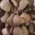 Chocalhos Naturais – Kemiri, Juju, Pangi e Cha-Cha - Soundhealing - Ânima Sounds -  Instrumentos Musicais Terapêuticos