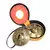 Tingsha de Bronze - 8 Símbolos Auspiciosos - comprar online
