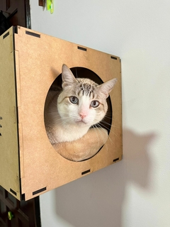 Banner da categoria Linha PET
