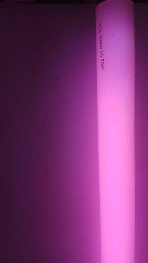 Fluorescente 18w grolux - comprar online