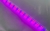 Lâmpada LED tubular 9W GROW para Horticultura