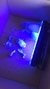 Refletor LED 50W Slim de Luz Negra Bivolt (~395nm) - LegalLampadas