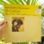 LP TIM MAIA