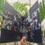 LP ELIS & TOM - MANIA DE VINIL