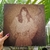 LP RITA LEE