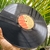 LP KATE BUSH - comprar online