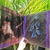LP GAL COSTA - MANIA DE VINIL