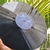 LP JOAO GILBERTO na internet