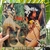 LP GAL COSTA - loja online