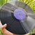 LP JORGE BEN - MANIA DE VINIL