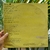LP BOB MARLEY - loja online