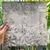 LP HYLDON - MANIA DE VINIL