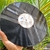 LP RAUL SEIXAS - MANIA DE VINIL