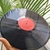 LP FORRÓ DO MANÉ BAIÃO - MANIA DE VINIL