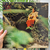 LP >TETÊ - comprar online