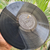 LP > RENATO TEIXEIRA - loja online