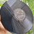 LP > OS ORIGINAIS DO SAMBA - comprar online