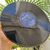 LP LADY ZU - comprar online