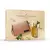 Kit Perfume Gabriela Sabatini Feminino 60ml + Necessaire na internet
