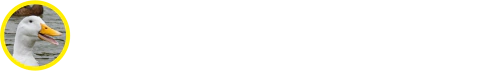 Juegos El Pato