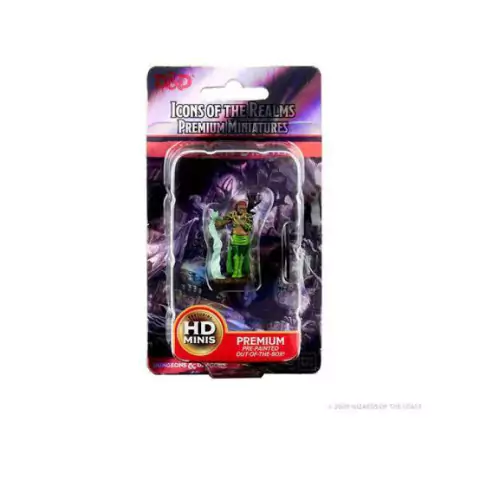 Icons of the Realms Premium Miniatures: Human Female Druid - Dungeons & Dragons RPG