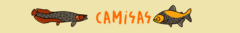 Banner da categoria Camisas