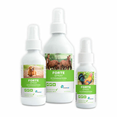 FORTE SPRAY 240 ML