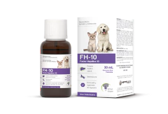 FH-10 Factor Hepático 10 100ml